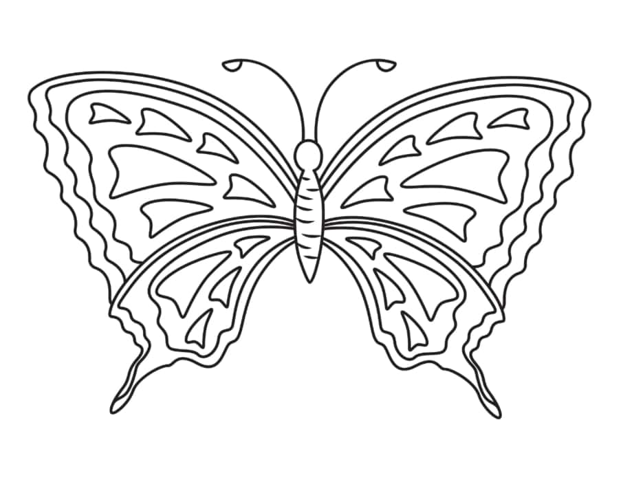 Butterfly Triangles Coloring Pdf Free Vectors